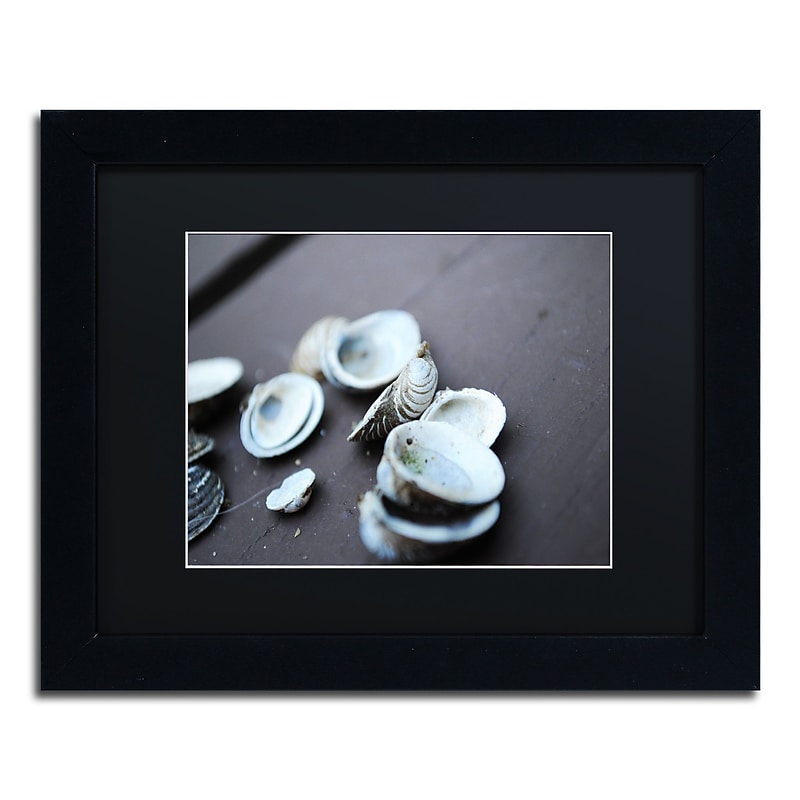Trademark Fine Art Monica Mize 'Lei' 11 x 14 (MF153-B1114BMF) image 1