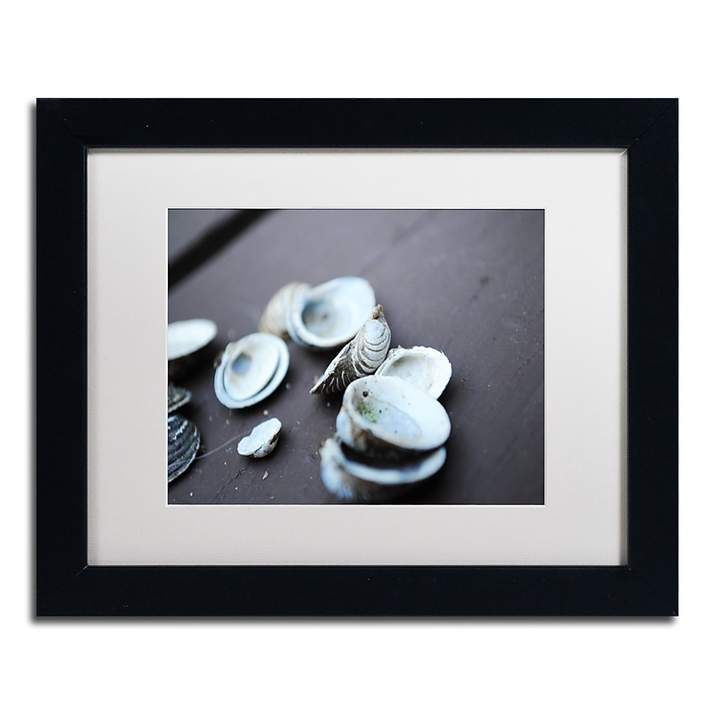 Trademark Fine Art Monica Mize 'Lei' 11 x 14 (MF153-B1114MF) image 1