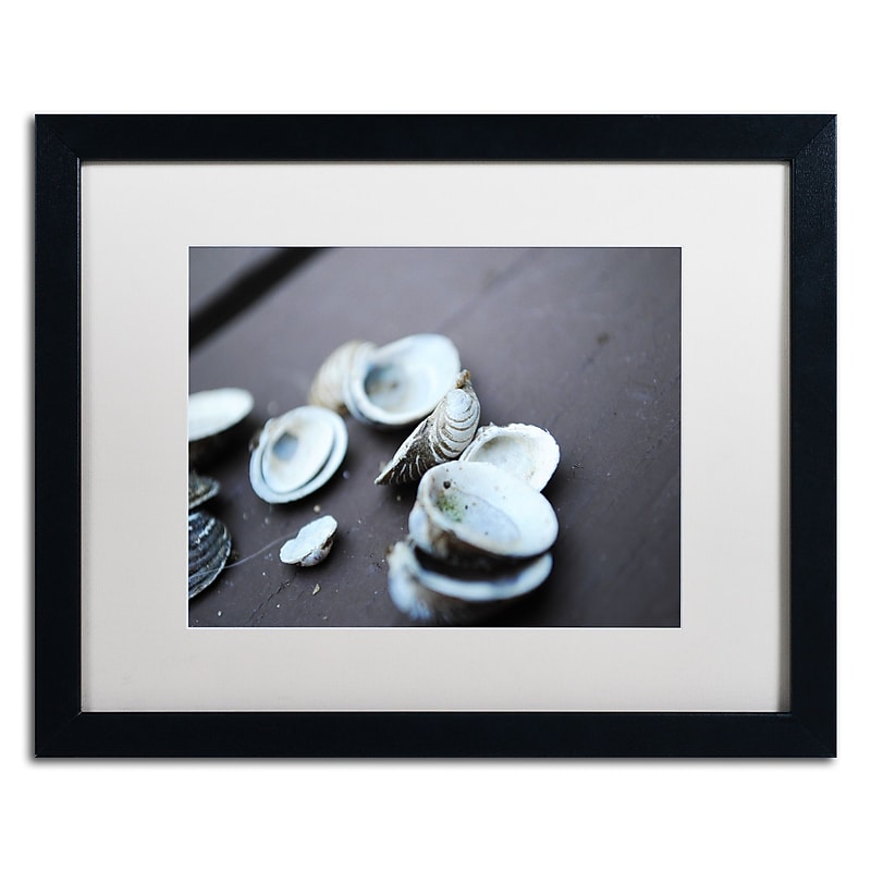 Trademark Fine Art Monica Mize 'Lei' 16 x 20 (MF153-B1620MF) image 1