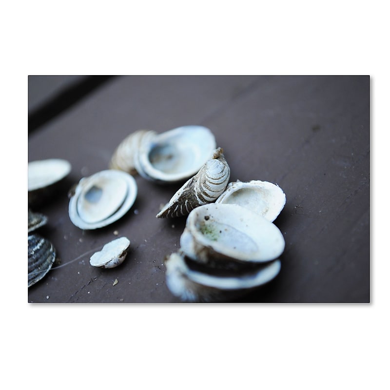 Trademark Fine Art Monica Mize 'Lei' 22 x 32 (MF153-C2232GG) image 1