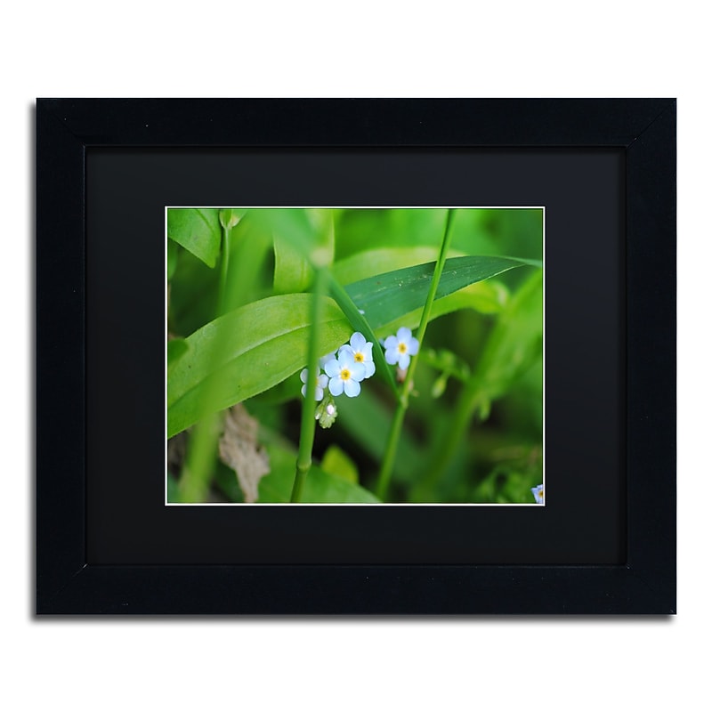 Trademark Fine Art Monica Mize 'Limited Perfection' 11 x 14 (MF154-B1114BMF) image 1