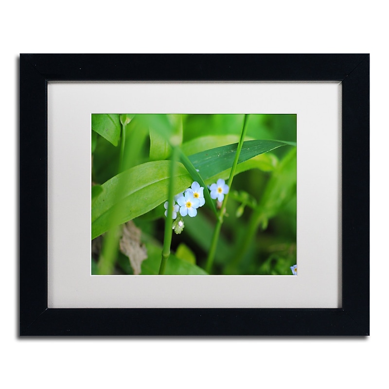 Trademark Fine Art Monica Mize 'Limited Perfection' 11 x 14 (MF154-B1114MF) image 1