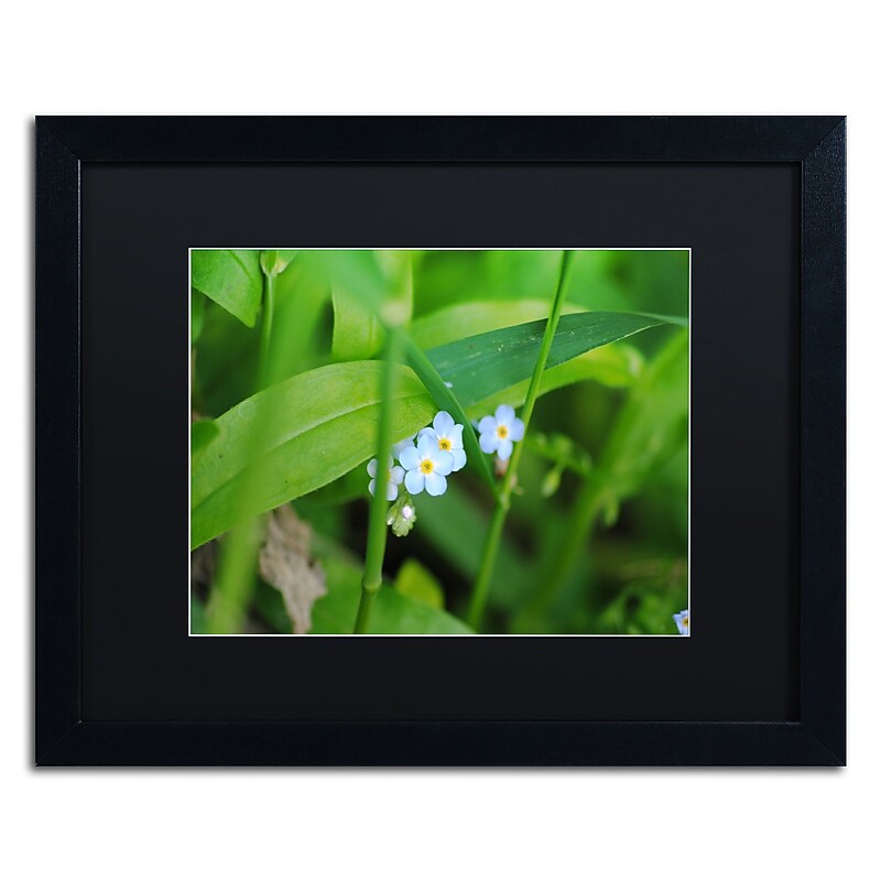 Trademark Fine Art Monica Mize 'Limited Perfection' 16 x 20 (MF154-B1620BMF) image 1