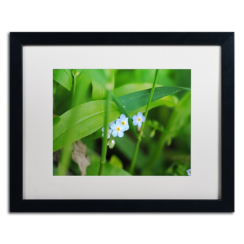 Trademark Fine Art Monica Mize 'Limited Perfection' 16 x 20 (MF154-B1620MF) image 1