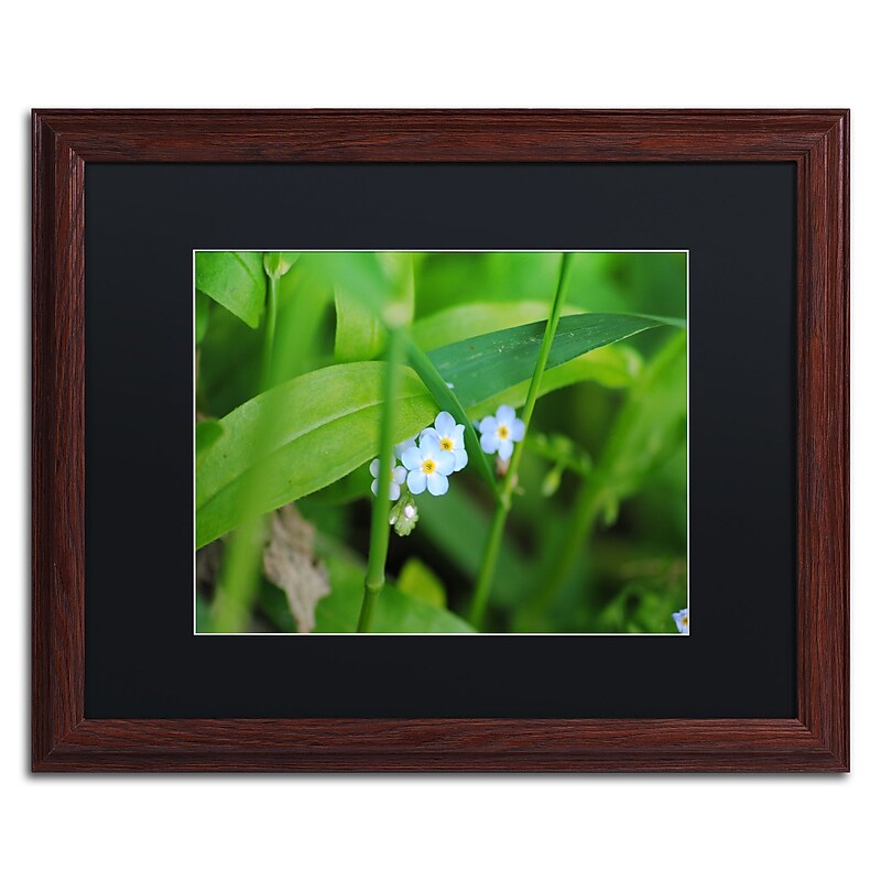 Trademark Fine Art Monica Mize 'Limited Perfection' 16 x 20 (MF154-W1620BMF) image 1