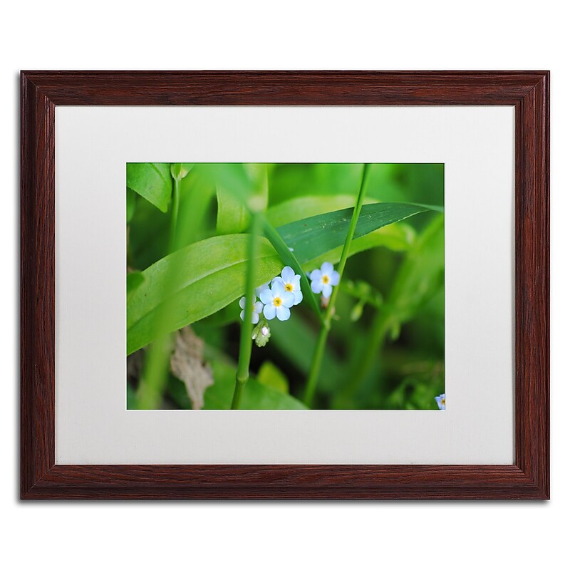 Trademark Fine Art Monica Mize 'Limited Perfection' 16 x 20 (MF154-W1620MF) image 1