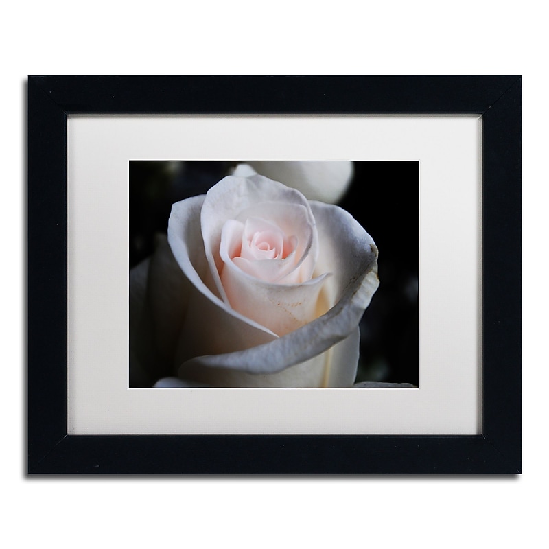 Trademark Fine Art Monica Mize 'Loyal Star' 11 x 14 (MF155-B1114MF) image 1