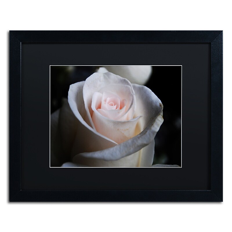 Trademark Fine Art Monica Mize 'Loyal Star' 16 x 20 (MF155-B1620BMF) image 1