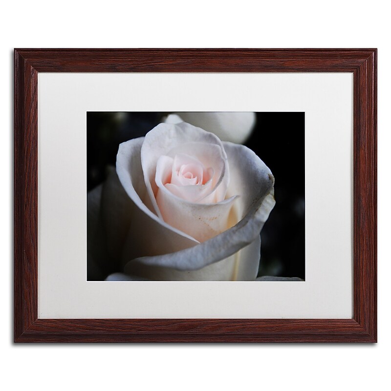 Trademark Fine Art Monica Mize 'Loyal Star' 16 x 20 (MF155-W1620MF) image 1