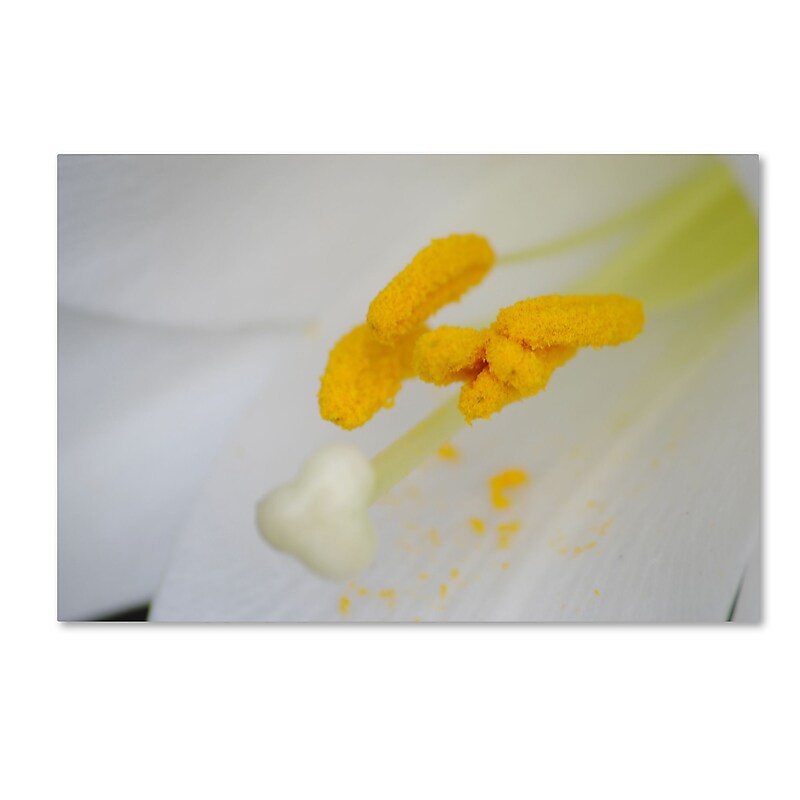 Trademark Fine Art Monica Mize 'Lucky Lasting' 22 x 32 (MF156-C2232GG) image 1