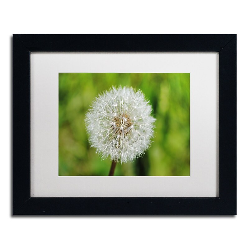 Trademark Fine Art Monica Mize 'Make a Wish' 11 x 14 (MF158-B1114MF) image 1