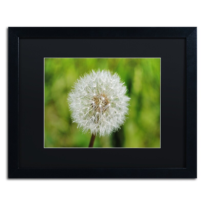 Trademark Fine Art Monica Mize 'Make a Wish' 16 x 20 (MF158-B1620BMF) image 1