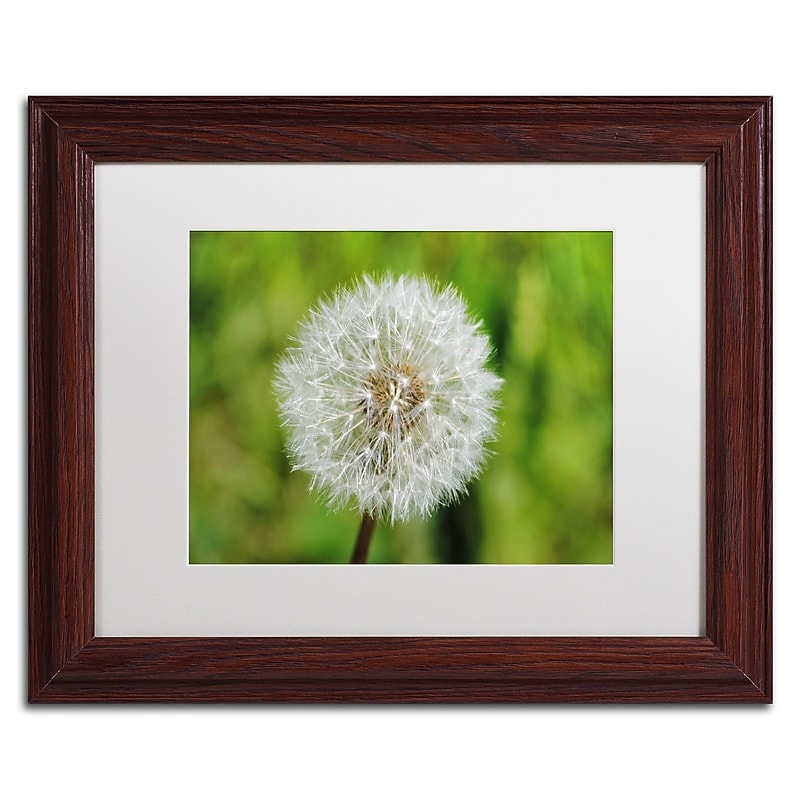 Trademark Fine Art Monica Mize 'Make a Wish' 11 x 14 (MF158-W1114MF) image 1