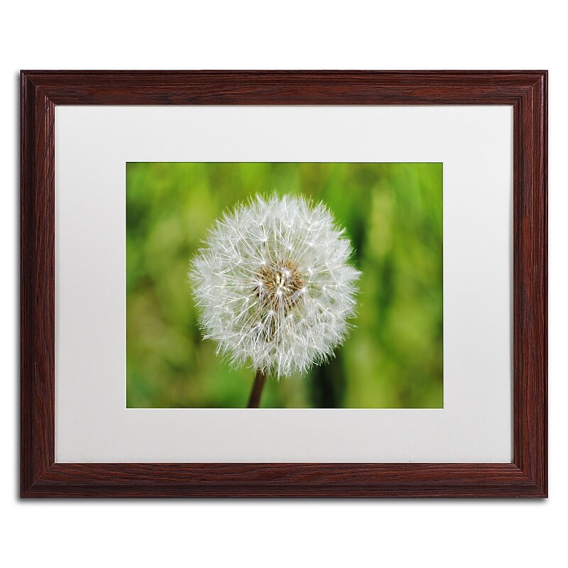 Trademark Fine Art Monica Mize 'Make a Wish' 16 x 20 (MF158-W1620MF) image 1