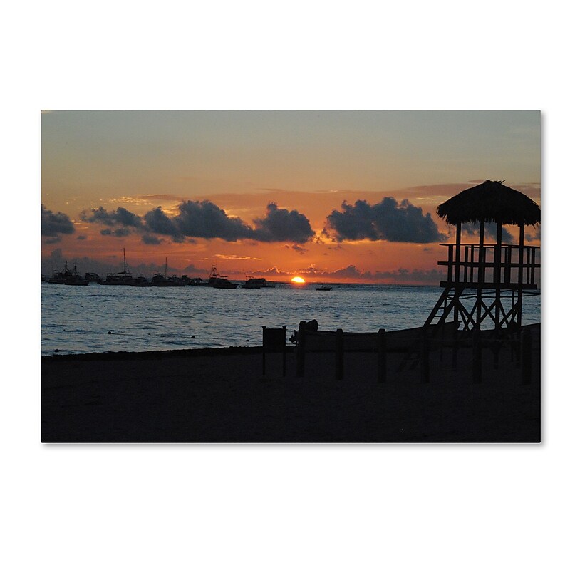 Trademark Fine Art Monica Mize 'Me Ke Aloha Pumehana' 22 x 32 (MF159-C2232GG) image 1