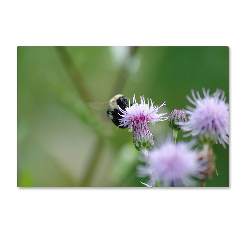 Trademark Fine Art Monica Mize 'Meant to Be' 16 x 24 (MF160-C1624GG) image 1