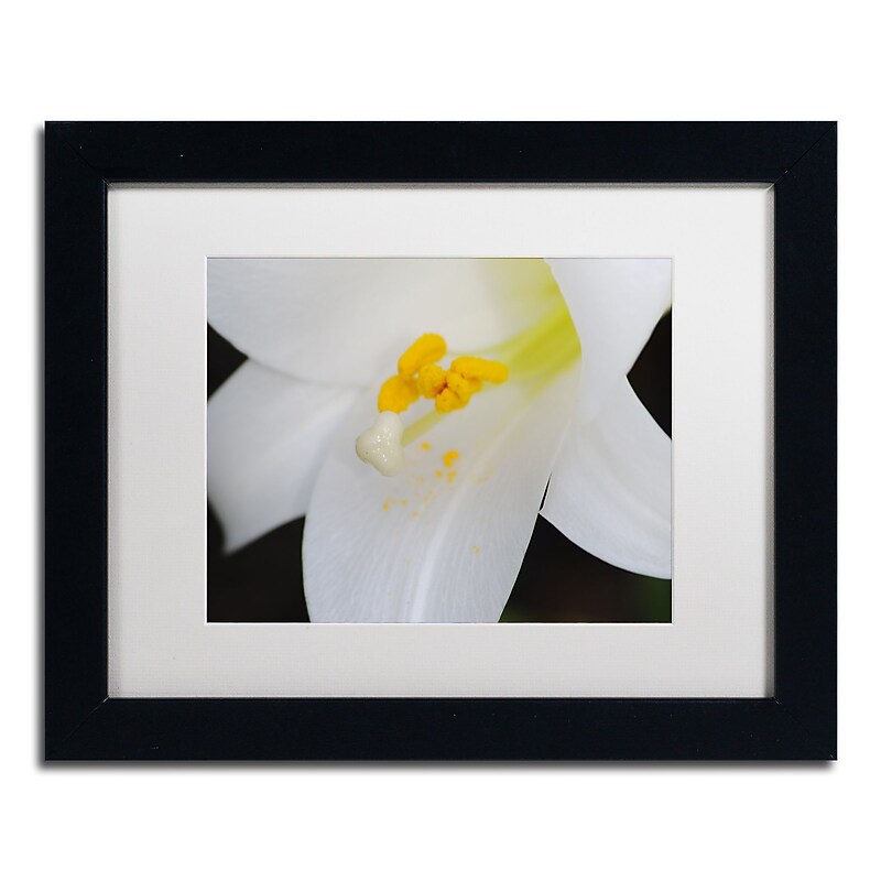 Trademark Fine Art Monica Mize 'One Word' 11 x 14 (MF162-B1114MF) image 1