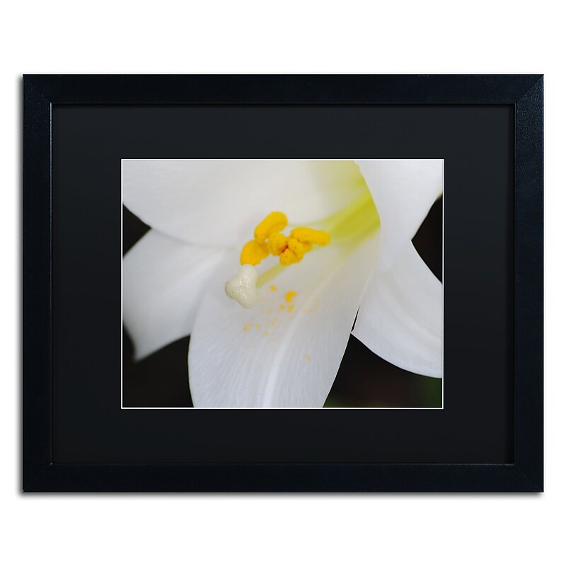 Trademark Fine Art Monica Mize 'One Word' 16 x 20 (MF162-B1620BMF) image 1