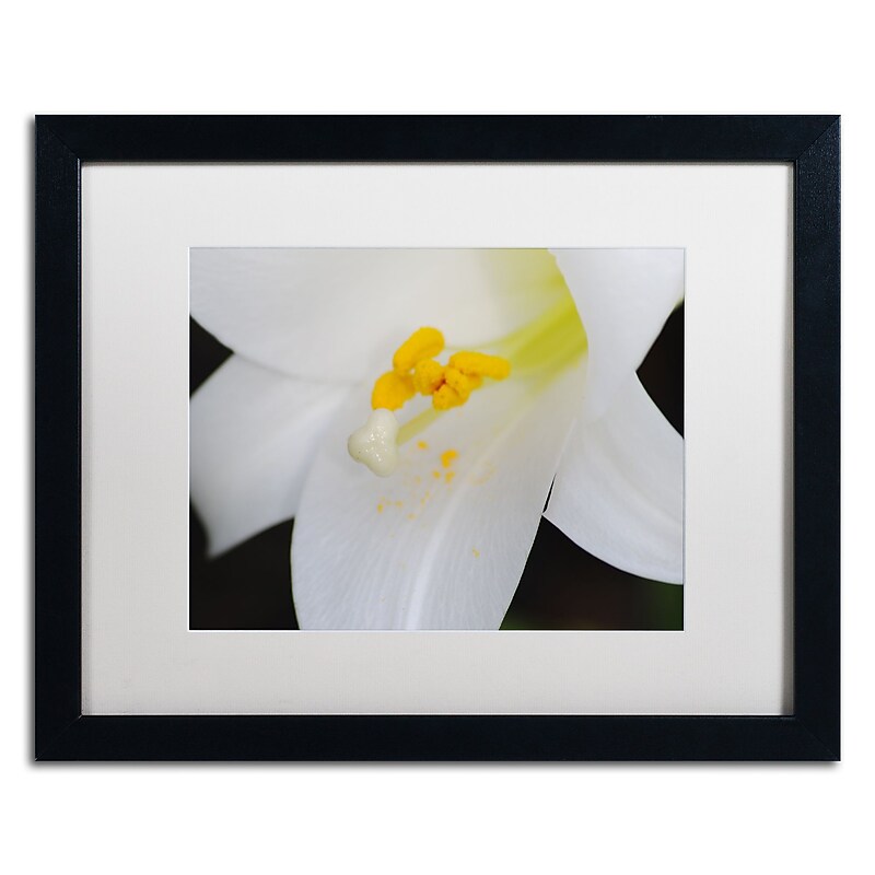 Trademark Fine Art Monica Mize 'One Word' 16 x 20 (MF162-B1620MF) image 1