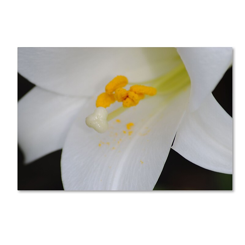 Trademark Fine Art Monica Mize 'One Word' 22 x 32 (MF162-C2232GG) image 1