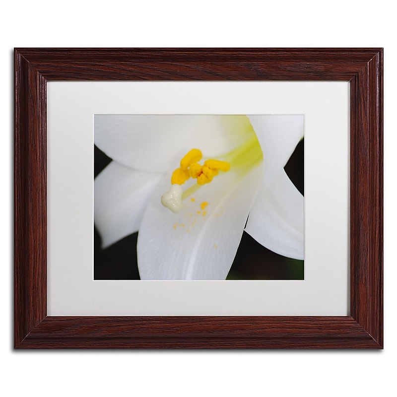 Trademark Fine Art Monica Mize 'One Word' 11 x 14 (MF162-W1114MF) image 1