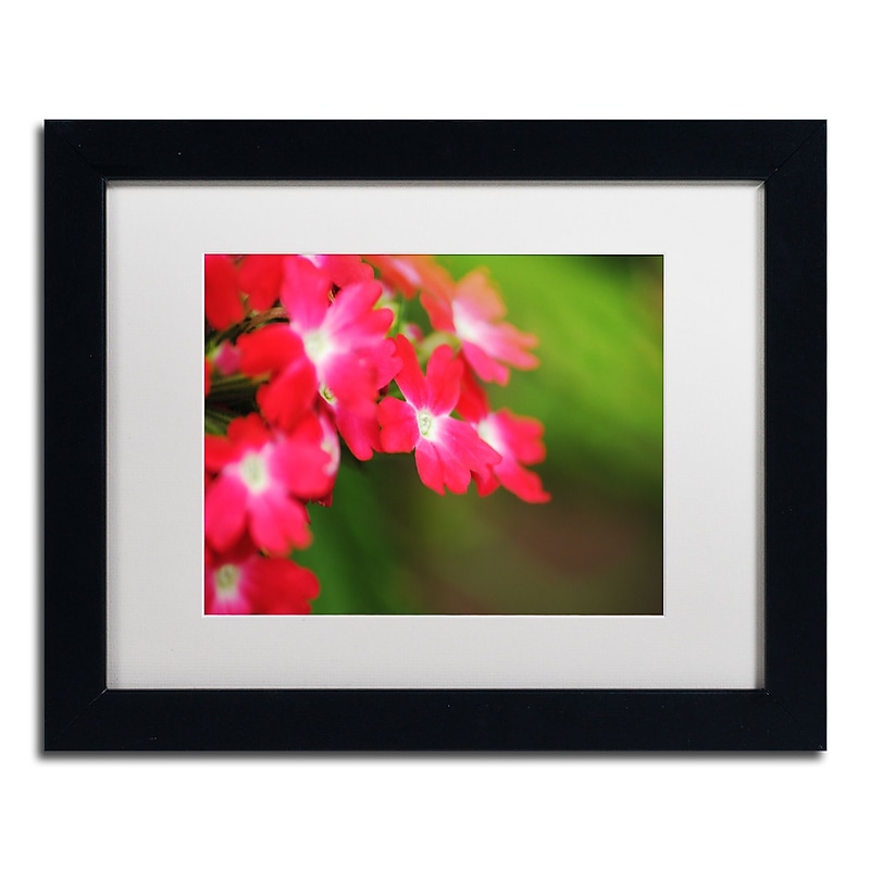 Trademark Fine Art Monica Mize 'Paired Ornament' 11 x 14 (MF163-B1114MF) image 1