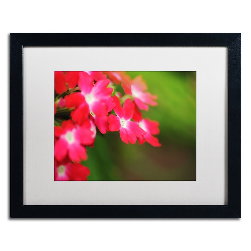 Trademark Fine Art Monica Mize 'Paired Ornament' 16 x 20 (MF163-B1620MF) image 1