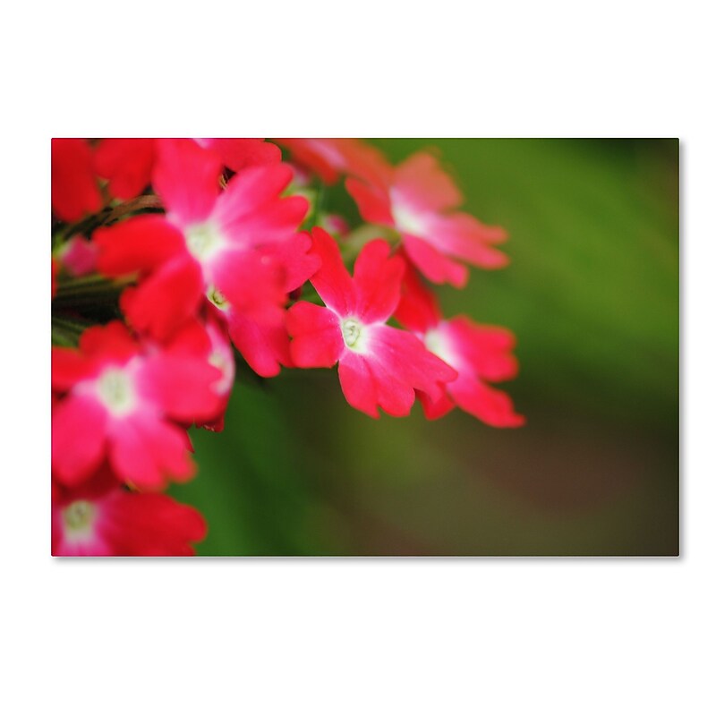 Trademark Fine Art Monica Mize 'Paired Ornament' 30 x 47 (MF163-C3047GG) image 1