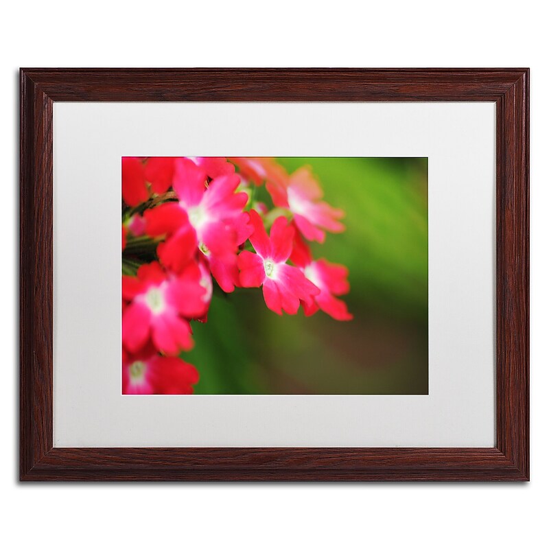 Trademark Fine Art Monica Mize 'Paired Ornament' 16 x 20 (MF163-W1620MF) image 1