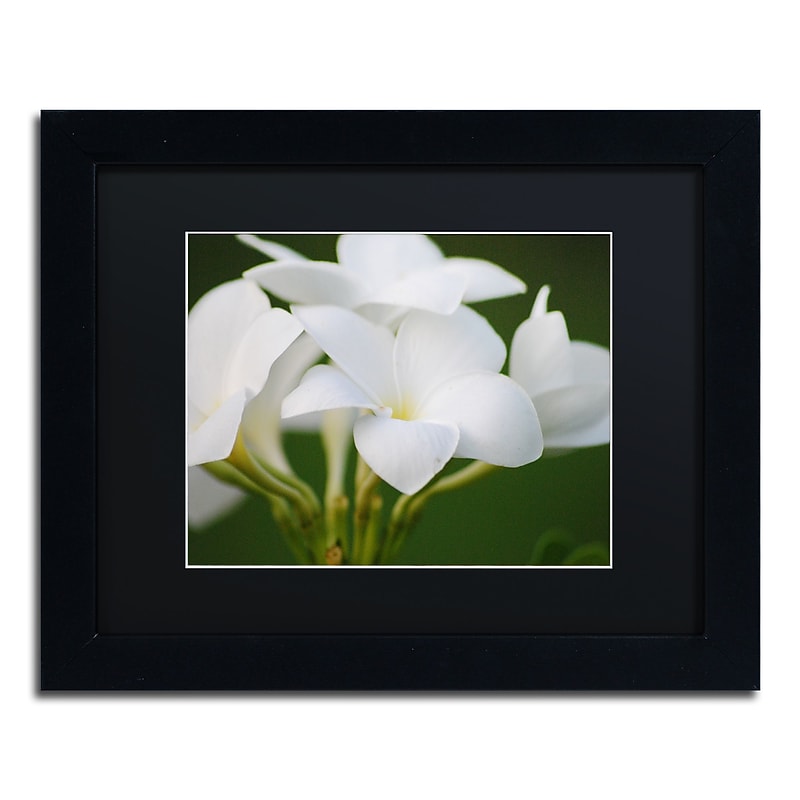 Trademark Fine Art Monica Mize 'Picture Perfect' 11 x 14 (MF164-B1114BMF) image 1