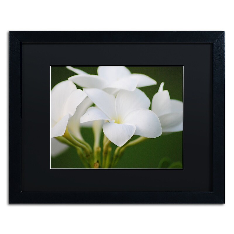 Trademark Fine Art Monica Mize 'Picture Perfect' 16 x 20 (MF164-B1620BMF) image 1