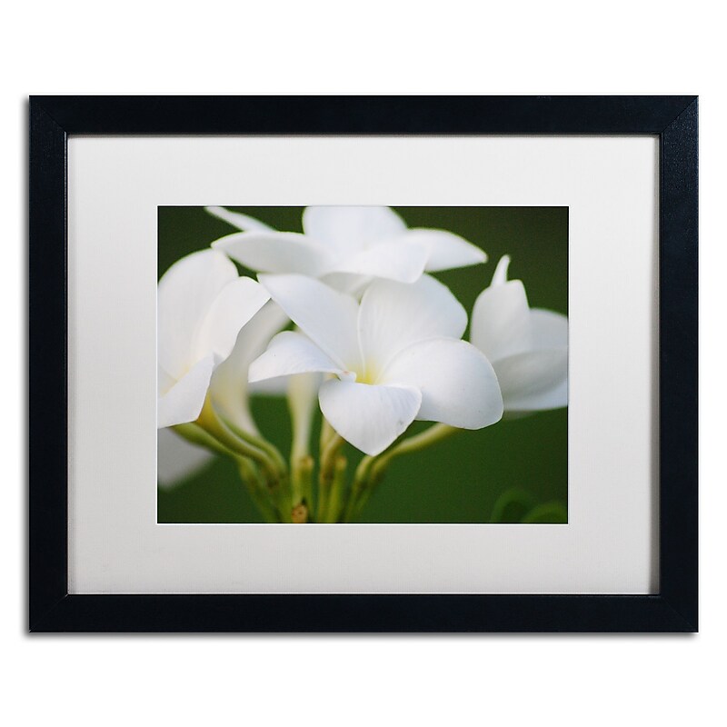 Trademark Fine Art Monica Mize 'Picture Perfect' 16 x 20 (MF164-B1620MF) image 1