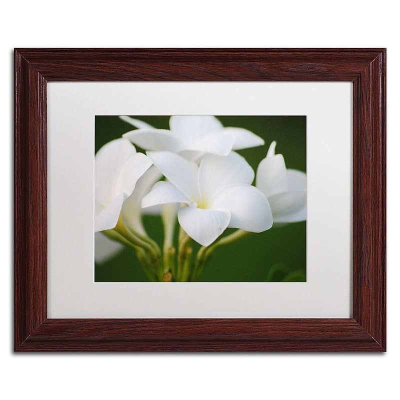 Trademark Fine Art Monica Mize 'Picture Perfect' 11 x 14 (MF164-W1114MF) image 1