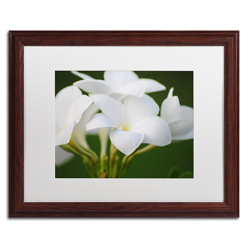 Trademark Fine Art Monica Mize 'Picture Perfect' 16 x 20 (MF164-W1620MF) image 1