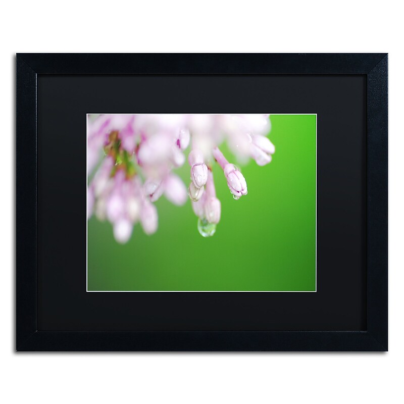 Trademark Fine Art Monica Mize 'Pure' 16 x 20 (MF166-B1620BMF) image 1