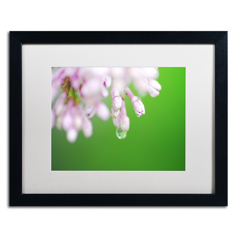 Trademark Fine Art Monica Mize 'Pure' 16 x 20 (MF166-B1620MF) image 1