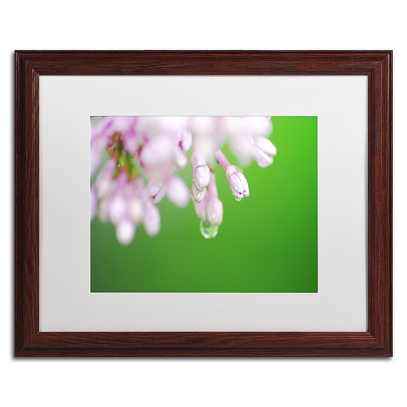 Trademark Fine Art Monica Mize 'Pure' 16 x 20 (MF166-W1620MF) image 1