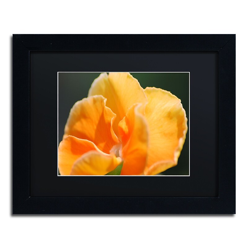 Trademark Fine Art Monica Mize 'Simple Compassion' 11 x 14 (MF167-B1114BMF) image 1