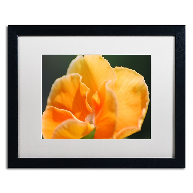 Trademark Fine Art Monica Mize 'Simple Compassion' 16 x 20 (MF167-B1620MF) image 1