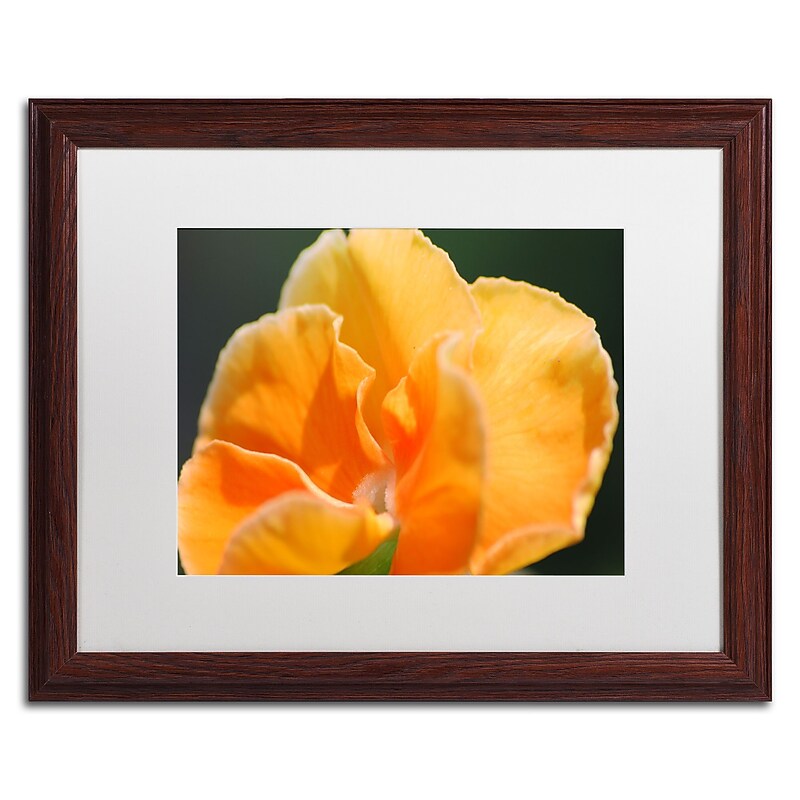 Trademark Fine Art Monica Mize 'Simple Compassion' 16 x 20 (MF167-W1620MF) image 1