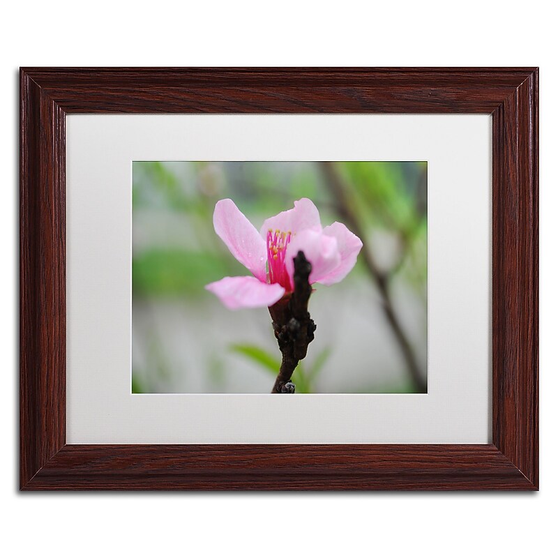 Trademark Fine Art Monica Mize 'Simplicity' 11 x 14 (MF168-W1114MF) image 1