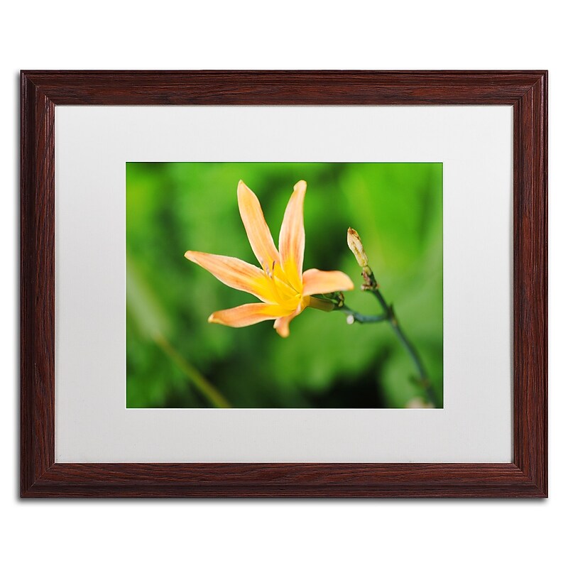 Trademark Fine Art Monica Mize 'Sweet Spice' 16 x 20 (MF170-W1620MF) image 1