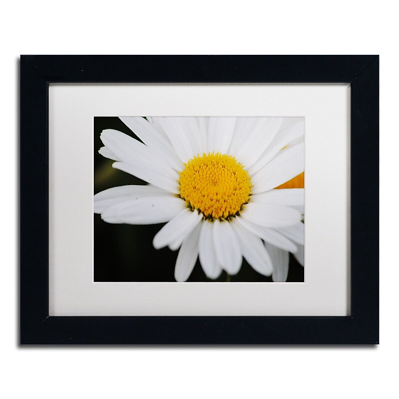 Trademark Fine Art Monica Mize 'Sweet Splendor' 11 x 14 (MF171-B1114MF) image 1