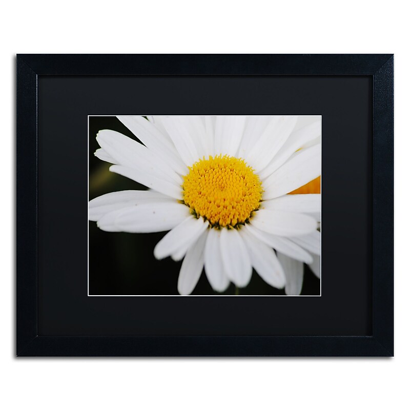 Trademark Fine Art Monica Mize 'Sweet Splendor' 16 x 20 (MF171-B1620BMF) image 1