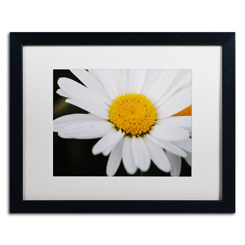 Trademark Fine Art Monica Mize 'Sweet Splendor' 16 x 20 (MF171-B1620MF) image 1