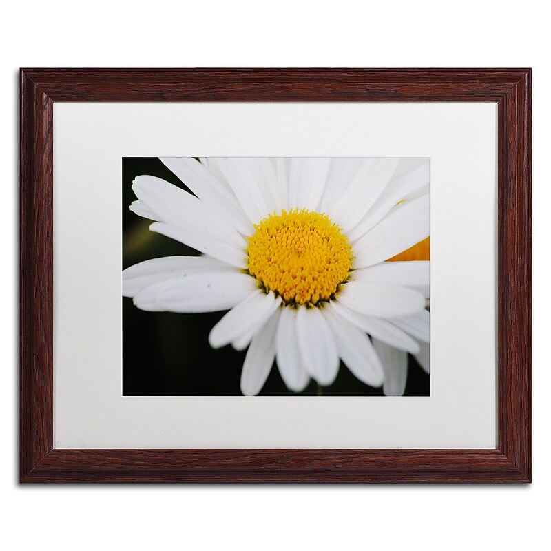 Trademark Fine Art Monica Mize 'Sweet Splendor' 16 x 20 (MF171-W1620MF) image 1