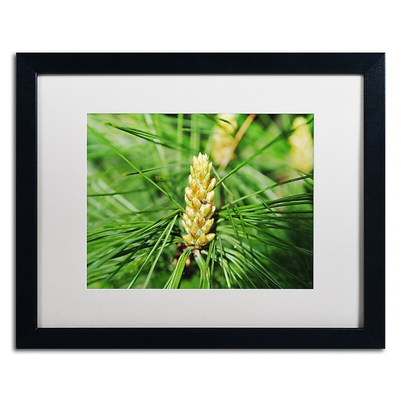 Trademark Fine Art Monica Mize 'The Start' 16 x 20 (MF172-B1620MF) image 1
