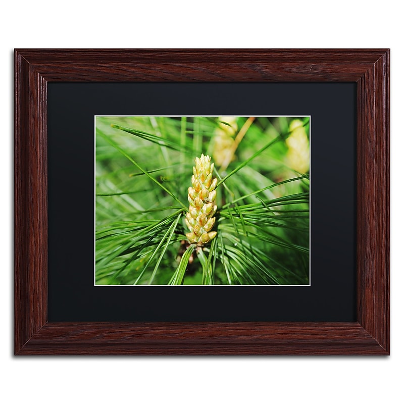 Trademark Fine Art Monica Mize 'The Start' 11 x 14 (MF172-W1114BMF) image 1