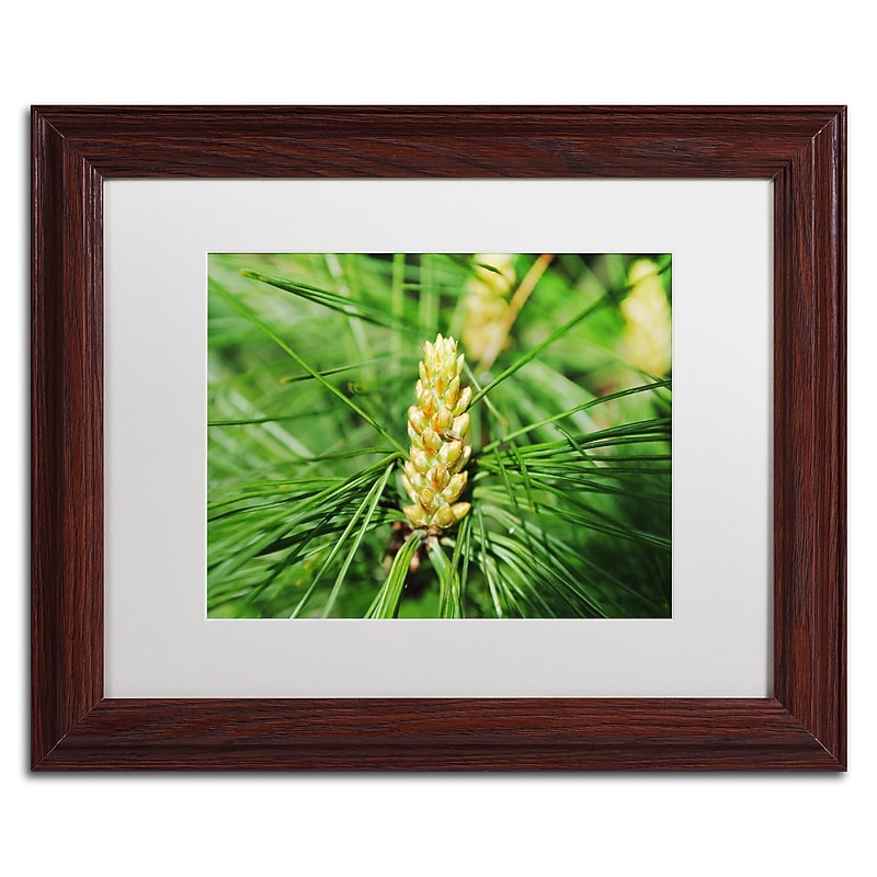 Trademark Fine Art Monica Mize 'The Start' 11 x 14 (MF172-W1114MF) image 1