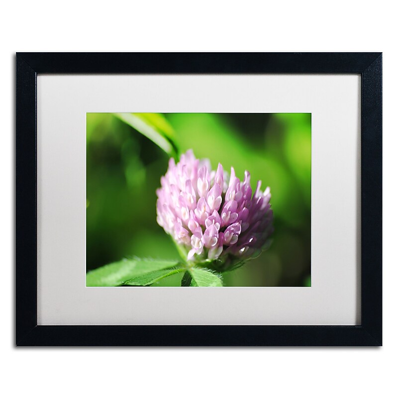 Trademark Fine Art Monica Mize 'Vindictive Lust' 16 x 20 (MF173-B1620MF) image 1